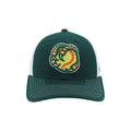 BOISE HAWKS BALL/TALON FLEX FIT HAT, GREEN/WHITE