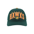 BOISE HAWKS RECON SNAPBACK ADJUSTABLE HAT, GREEN