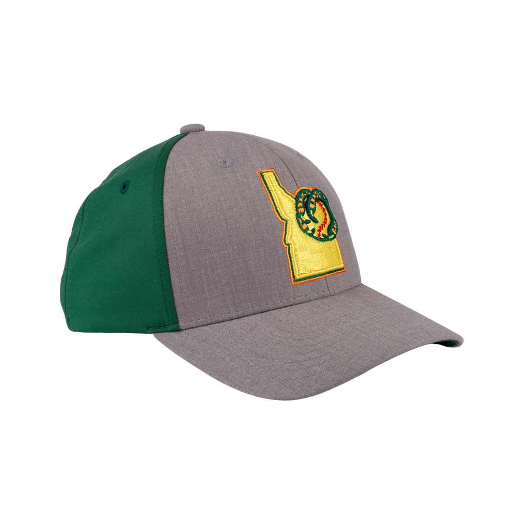 BOISE HAWKS FLINT FLEX FIT HAT