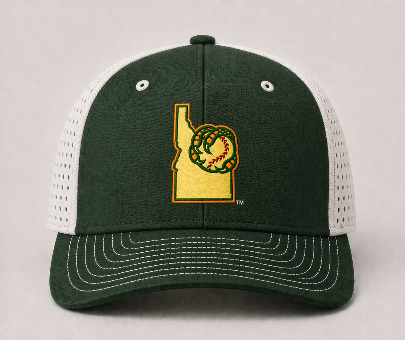 BOISE HAWKS MOMENTUM STATE LOGO FLEX FIT HAT